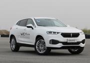 視覺(jué)效果出眾！WEY VV7定制版北京車(chē)展亮相