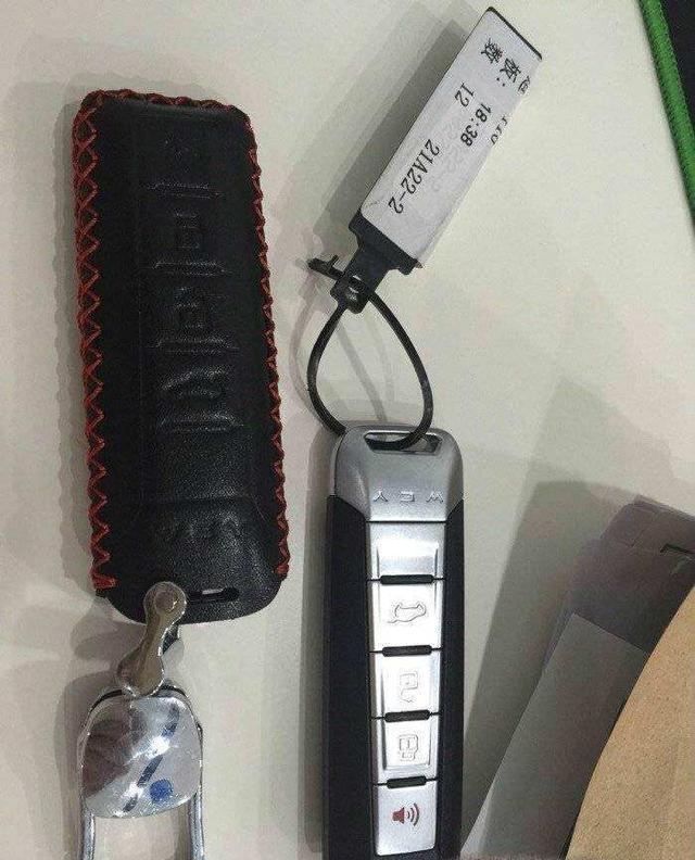 長城VV7S首次亮相, 亮瞎了眼