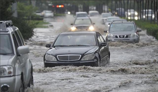每次暴雨后都能撿到一堆車牌，車牌為何這么容易掉？