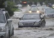 每次暴雨后都能撿到一堆車牌，車牌為何這么容易掉？