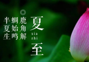 夏至已至 福特撼路者帶你體驗激情越野