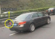 保持舒適距離 SUV天逸倡導文明行車