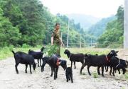 東風公司獲評2017年度湖北省直單位定點扶貧工作考評優秀單位