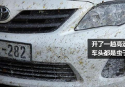 開了一趟高速 車頭都是蟲子尸體怎么辦