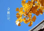 立秋了 開車出行這些方面你得注意