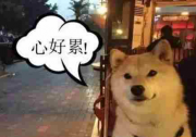 北鼻”一下全搞定！媽媽再也不擔心我開車手忙腳亂了