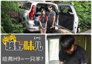 烤串兒參透了H9越野的奧秘