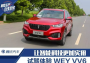 新鮮出爐的”機智“鮮肉WEY VV6，了解一下