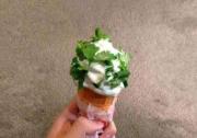 和天價香菜相比 他們真是太誠懇了