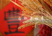 金秋豐收季非購不可 VIOS威馳給你好機“惠”