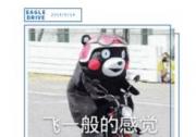 鷹駕科技360環視護航綠能達純電動公交車
