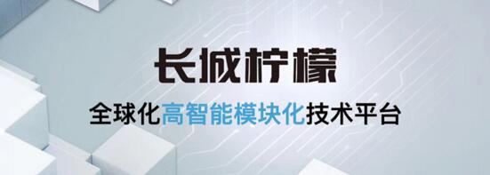 哈弗H6