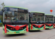 “聰明車”上線“智慧路”！批量蘇州金龍海格公交甘肅靜寧投運